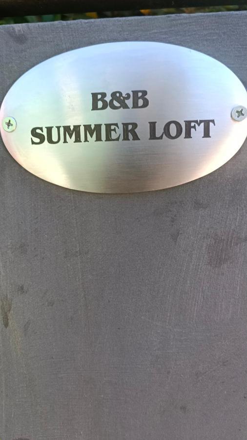 Summer Loft Sant'Andrea  المظهر الخارجي الصورة