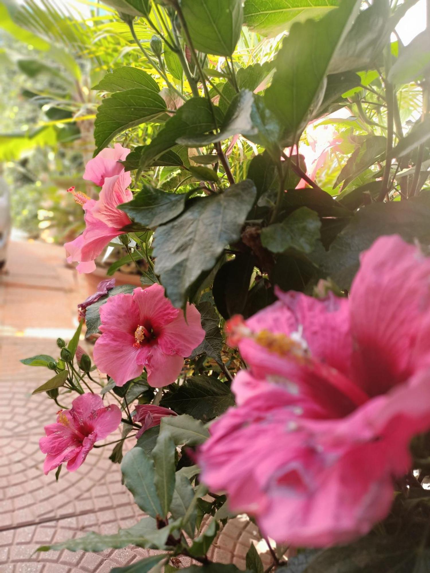 Summer Loft Sant'Andrea  المظهر الخارجي الصورة