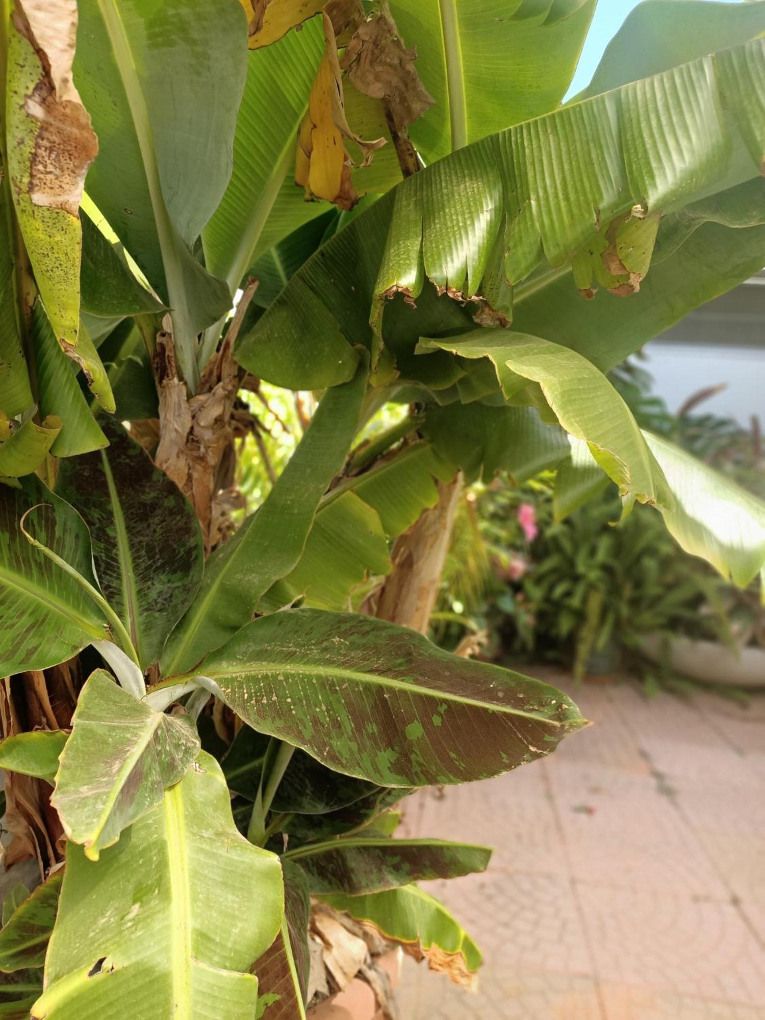 Summer Loft Sant'Andrea  المظهر الخارجي الصورة